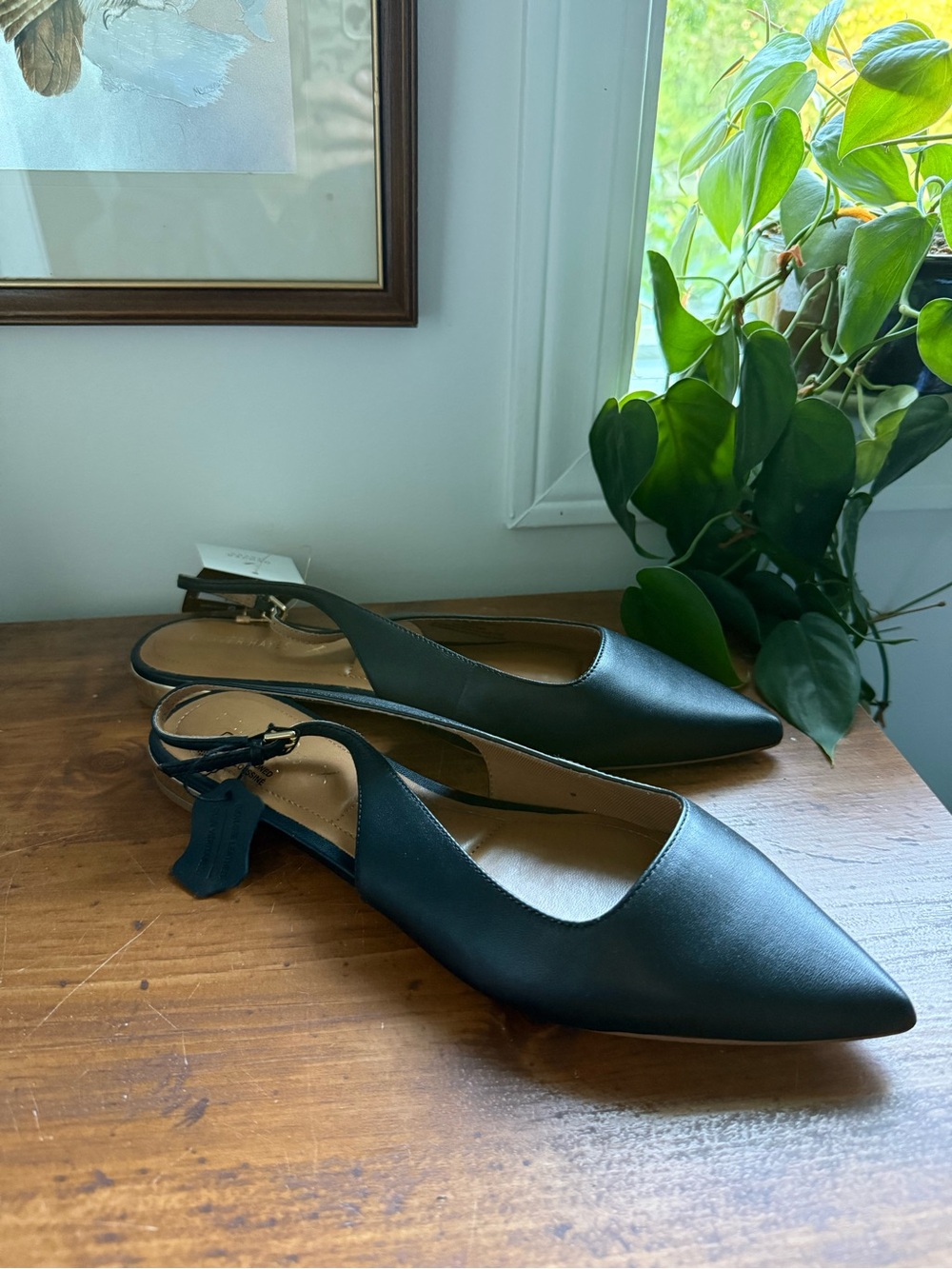 Denver Hayes Black Pointed Slingback Mules